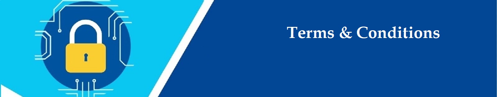 terms and conditions digitalific