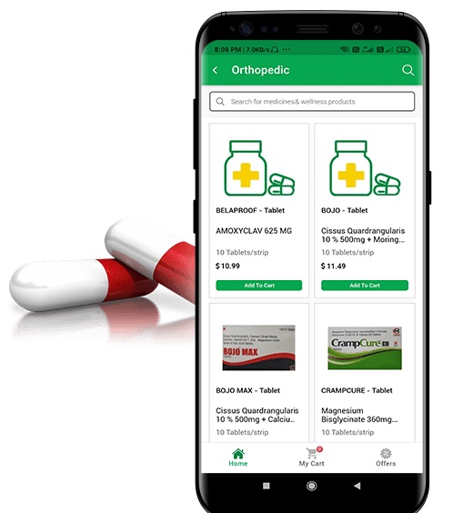 Web Development company near delhi india